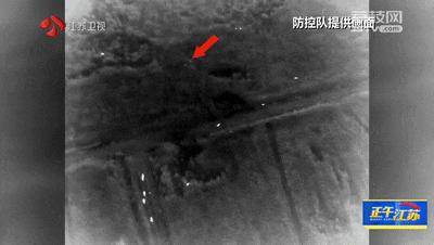 皇冠信用網怎么注册_300斤大野猪被迅速捕猎皇冠信用網怎么注册！南京老山里有一队“野猪赏金猎人”