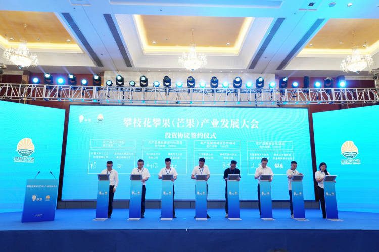 皇冠会员如何申请
_项目投资总额近15亿元 攀枝花攀果（芒果）产业发展大会在盐边举行